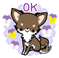 Kawaii Chihuahua 4 (English) sticker #5916569