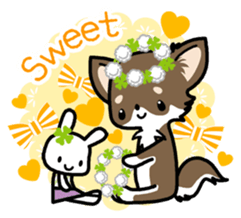 Kawaii Chihuahua 4 (English) sticker #5916575
