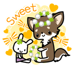 Kawaii Chihuahua 4 (English) sticker #5916575