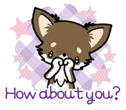 Kawaii Chihuahua 4 (English) sticker #5916577