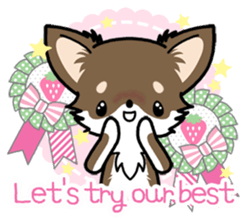 Kawaii Chihuahua 4 (English) sticker #5916580