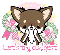 Kawaii Chihuahua 4 (English) sticker #5916580