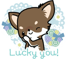 Kawaii Chihuahua 4 (English) sticker #5916581