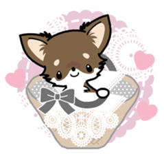Kawaii Chihuahua 4 (English) sticker #5916582