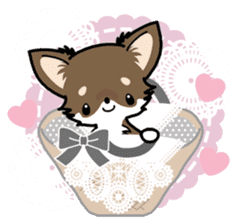 Kawaii Chihuahua 4 (English) sticker #5916582