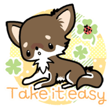 Kawaii Chihuahua 4 (English) sticker #5916585
