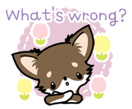 Kawaii Chihuahua 4 (English) sticker #5916588
