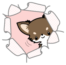 Kawaii Chihuahua 4 (English) sticker #5916590
