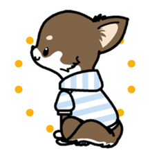 Kawaii Chihuahua 4 (English) sticker #5916595