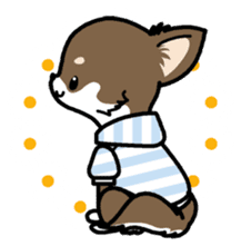 Kawaii Chihuahua 4 (English) sticker #5916595