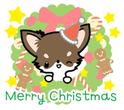 Kawaii Chihuahua 4 (English) sticker #5916597