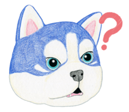 THE HUSKY (English) sticker #5916649