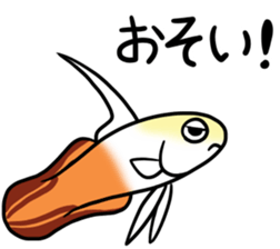 Creatures of the coral reef sticker #5917287