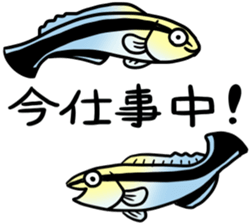 Creatures of the coral reef sticker #5917298