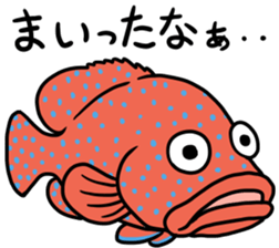 Creatures of the coral reef sticker #5917313