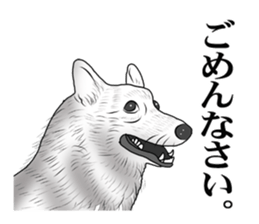 stickers of funny faces sticker #5918379