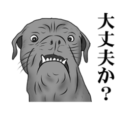 stickers of funny faces sticker #5918380