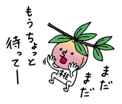 Peach of Nakata's house sticker #5918568