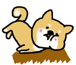 Shiba inu. sticker #5918880