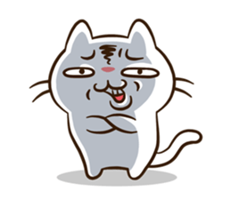 Chloe the cat sticker #5919369