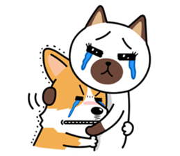 Welshcorgi Mr.Lee Friends Special sticker #5921912