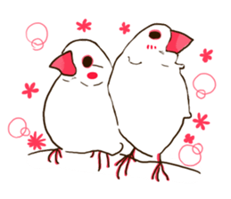 Everyday javasparrow and Parakeet sticker #5926760