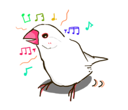 Everyday javasparrow and Parakeet sticker #5926761