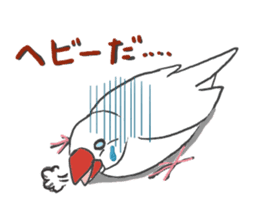 Everyday javasparrow and Parakeet sticker #5926763