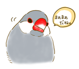 Everyday javasparrow and Parakeet sticker #5926765