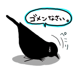 Everyday javasparrow and Parakeet sticker #5926771