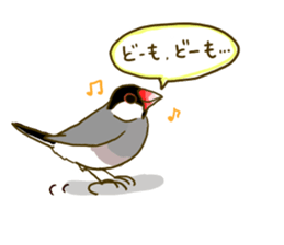 Everyday javasparrow and Parakeet sticker #5926774