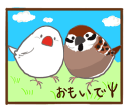 Everyday javasparrow and Parakeet sticker #5926780