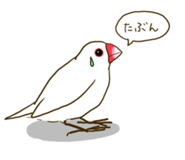 Everyday javasparrow and Parakeet sticker #5926784