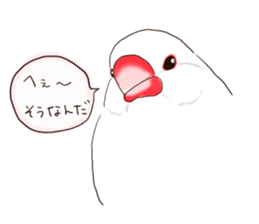 Everyday javasparrow and Parakeet sticker #5926787