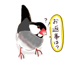 Everyday javasparrow and Parakeet sticker #5926788