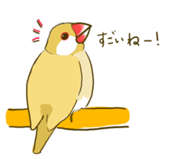 Everyday javasparrow and Parakeet sticker #5926791