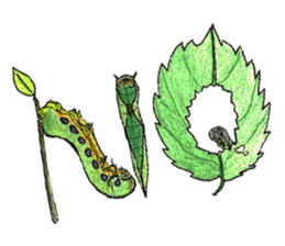 Lovely caterpillar sticker #5928837