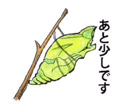 Lovely caterpillar sticker #5928841