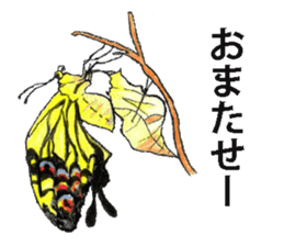 Lovely caterpillar sticker #5928845