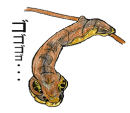 Lovely caterpillar sticker #5928846