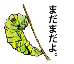 Lovely caterpillar sticker #5928859