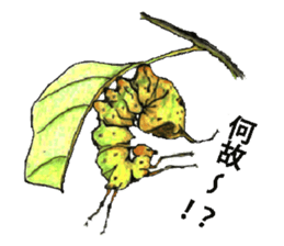 Lovely caterpillar sticker #5928864