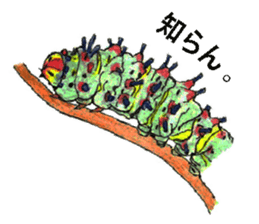 Lovely caterpillar sticker #5928869