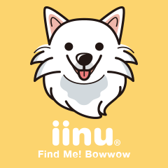 iinu - Japanese Spitz