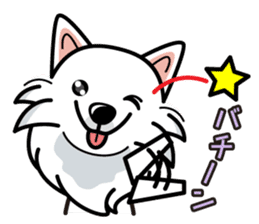 iinu - Japanese Spitz sticker #5929874