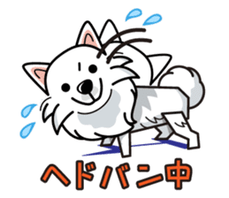 iinu - Japanese Spitz sticker #5929878