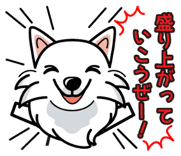 iinu - Japanese Spitz sticker #5929879