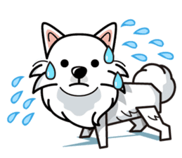 iinu - Japanese Spitz sticker #5929883