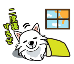 iinu - Japanese Spitz sticker #5929885