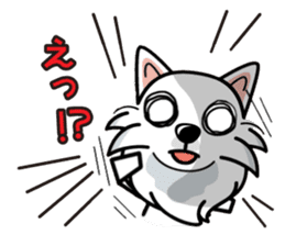 iinu - Japanese Spitz sticker #5929891